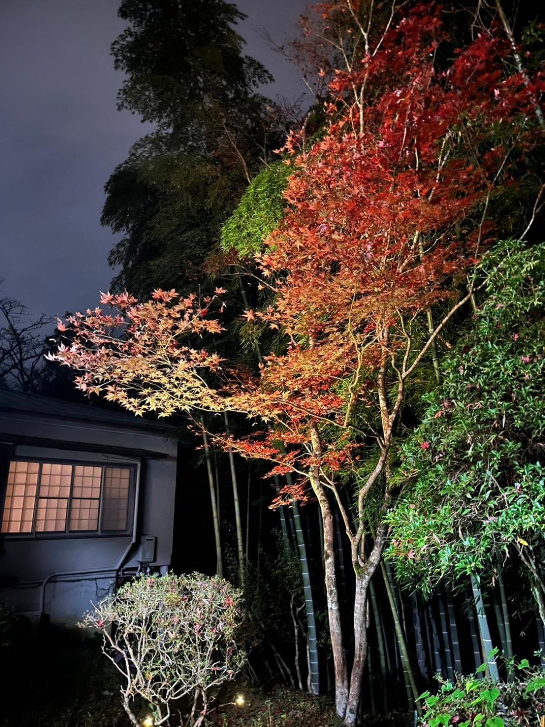 Fuji-Hakone Guest House Exterior photo